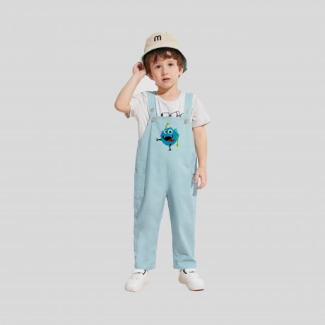Boys Blue Dungarees with Cute Print Details - RKFCW188